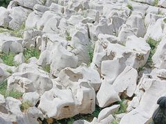 -原山国家森林公园