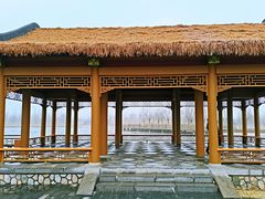 -张家湾公园