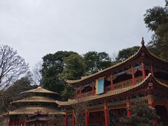 -都江堰玫瑰花溪谷