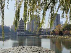 -宝岛公园