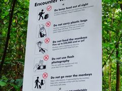 -武吉知马自然保护区