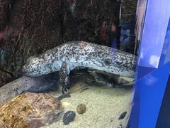 -厦门海底世界