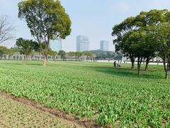 -大宁灵石公园西门票处