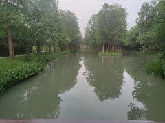 -西溪国家湿地公园