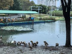 -白塘生态植物园
