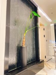 点击看大图 -奥斯芬·欧系贵族SPA