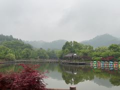 -黄陂区野村谷景区