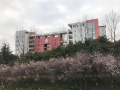 -西南政法大学(渝北校区)