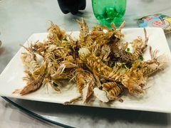 -金海湾海鲜排档(朱家尖店)