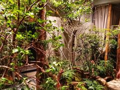 -森SPA·泰式按摩·精油Massage(宝安中心店)