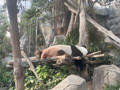-香港海洋公园