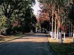 -白鹭园