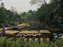 -晓港公园