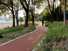 -北外滩滨江绿地