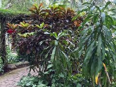 -海南热带野生动植物园