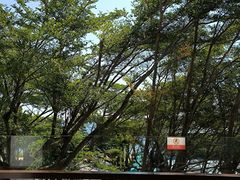 -半山半岛洲际度假酒店·观海廊
