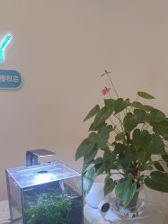 -S&G Beauty轻奢皮肤管理中心