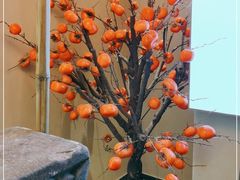 -大鱼徽州·寻味徽菜(万象汇店)