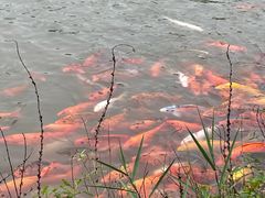 -春晖园度假酒店温泉