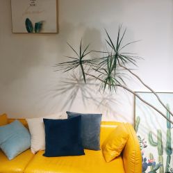 -杨丹国际美学肌研所