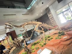 -自贡恐龙博物馆