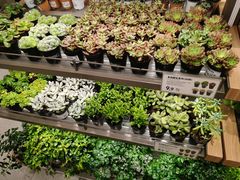 -鹿岛生活(熙地港店)
