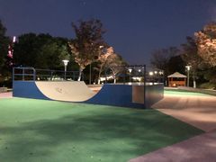 -映月湖中央公园