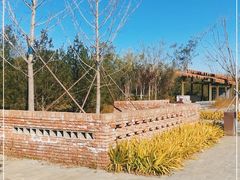 -张家湾公园