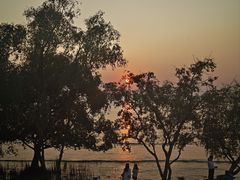 -宝安西湾红树林湿地公园