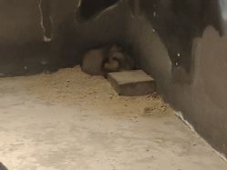 -酷嗒动物文化乐园(cutezoo西溪乐天城店)