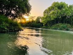 -西溪国家湿地公园