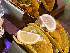 -Famous肥猫墨西哥音乐餐吧(五棵松华熙LIVE店)