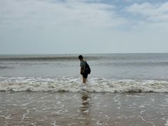 -日照海滨国家森林公园