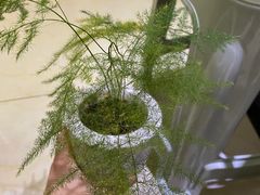 -合肥市裕丰花鸟虫鱼市场-F区