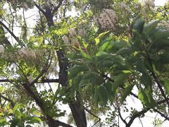 -肯德基(谷山路店)