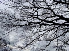 -八大关景区