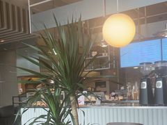 -Wagas沃歌斯(汇智店)