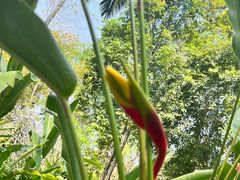 -中国科学院西双版纳热带植物园