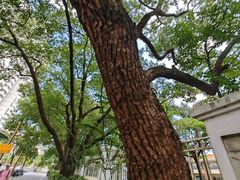 -深圳少年儿童图书馆