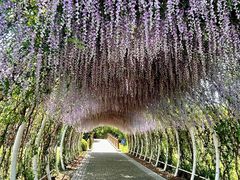 -同里国家湿地公园