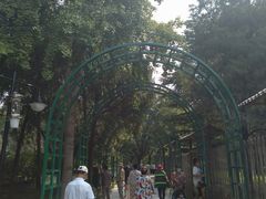 -黄村公园