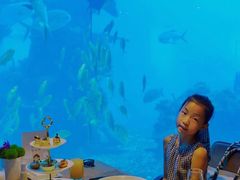 -涛·海底餐厅·美人鱼·自助餐·海底隧道(三亚海棠湾洲际度假酒店)