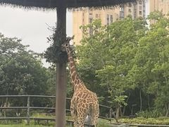 -南昌动物园