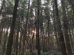 -同里国家湿地公园