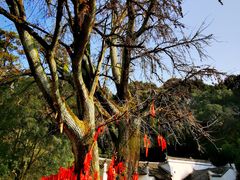 -三国赤壁古战场