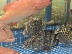 -闽海肴(北辰荟店)