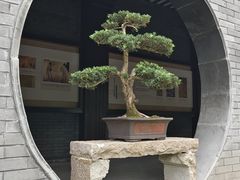 -泰州凤城河风景区-泰山公园