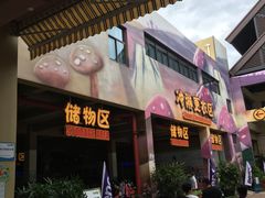 -苏州乐园森林水世界