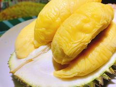 -榴梿乐园