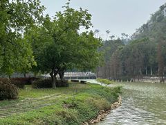 -星湖旅游景区七星岩